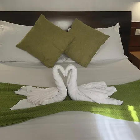 Romalive Guest house