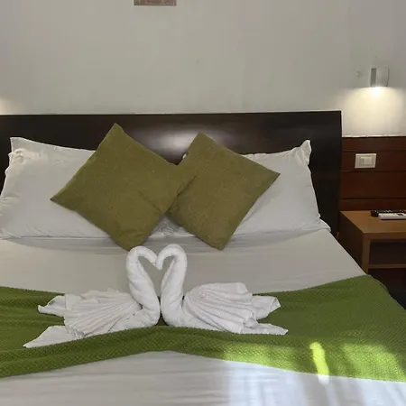 Guest house Romalive